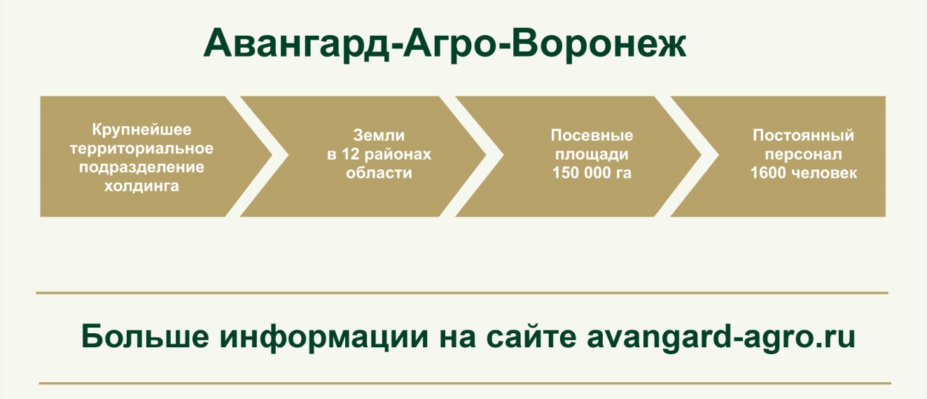 Авангард агро. Тесты в Авангард Агро. Авангард Агро бесплатные обеды.